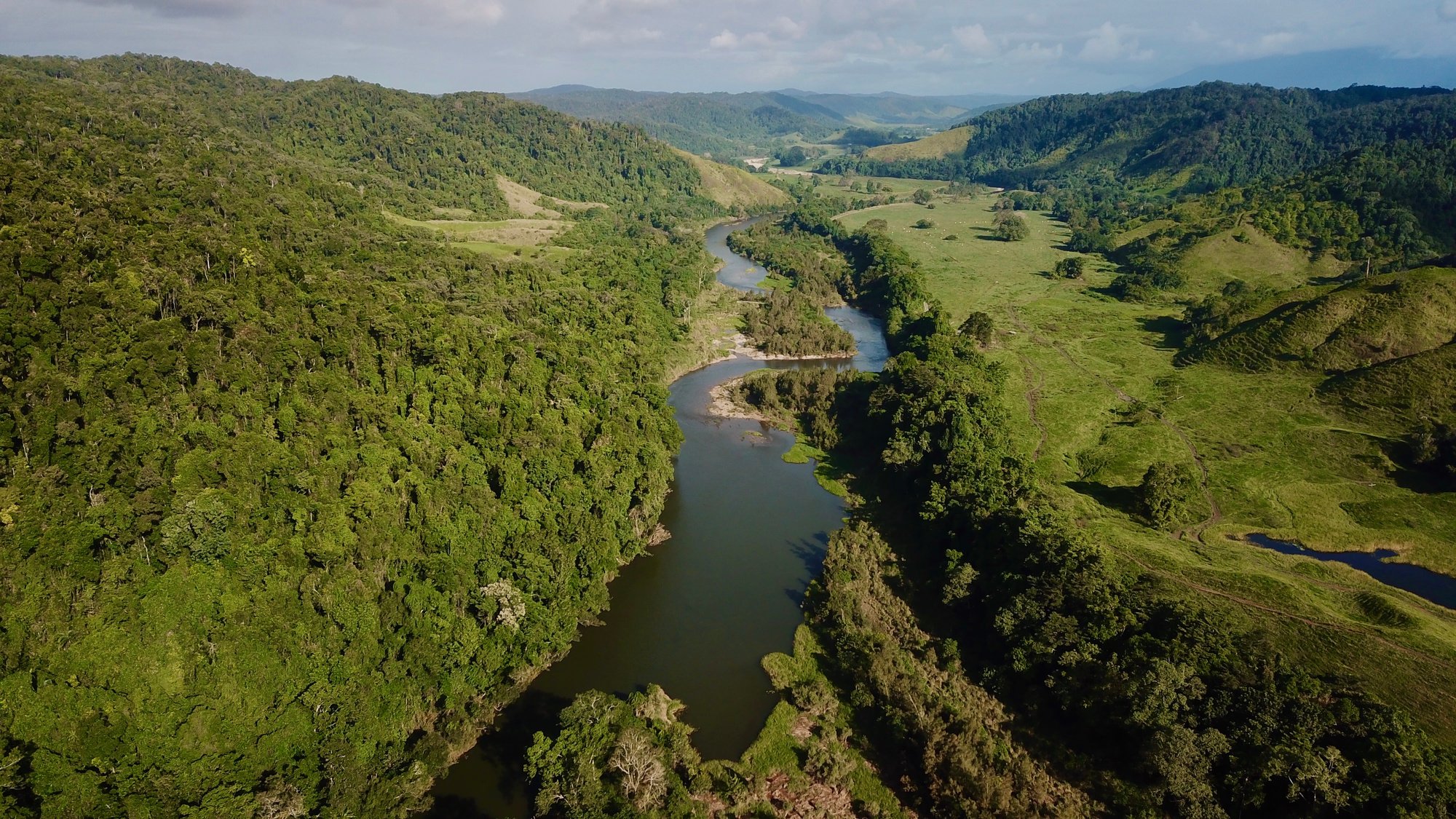 Daintree River Landscape